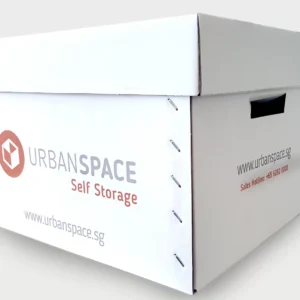 Carton Box - Document